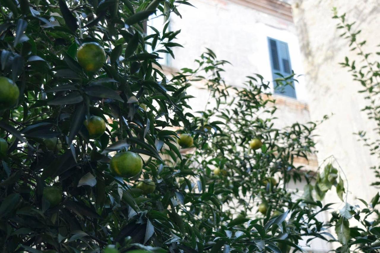 Giardino D'Atri Διαμέρισμα Νάπολη Εξωτερικό φωτογραφία